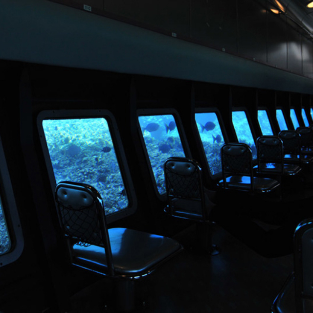 シースカイ博愛