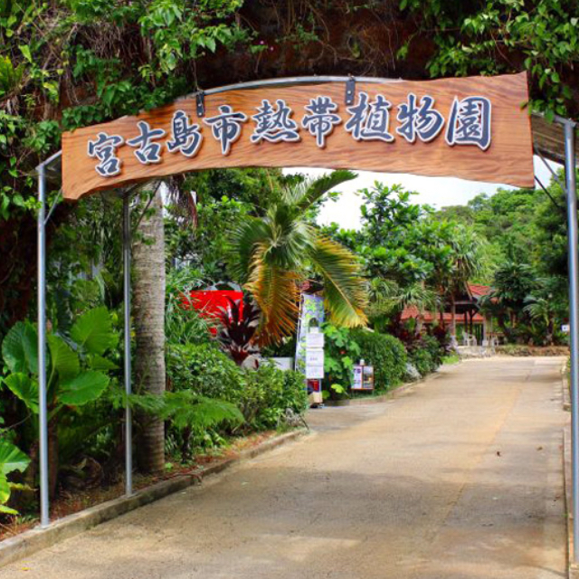 宮古島市熱帯植物園